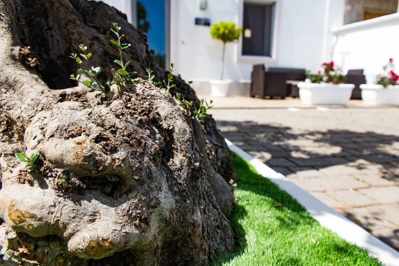 Dal Signor Wolf Bed & Breakfast